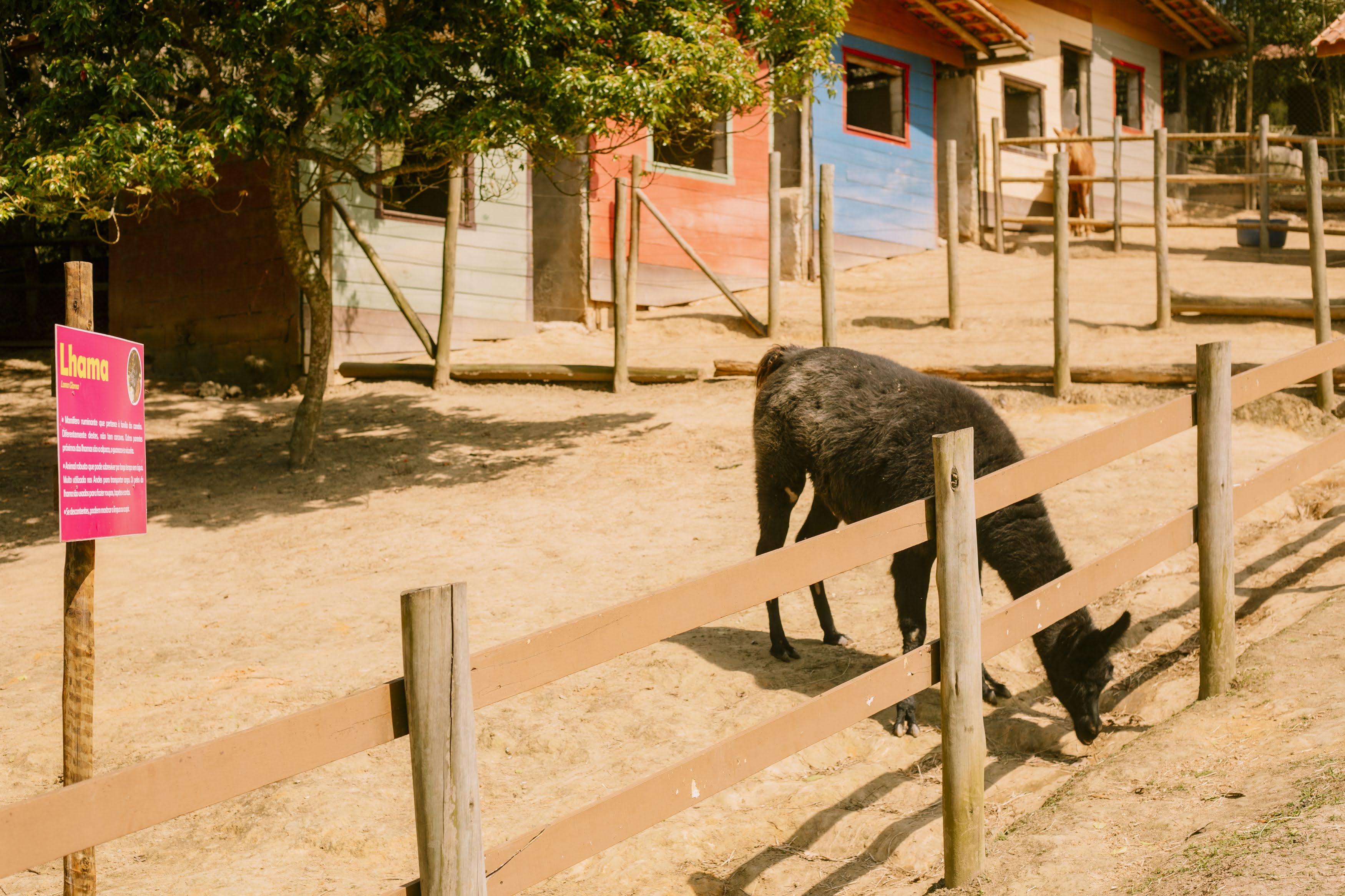 Parque Bichomania