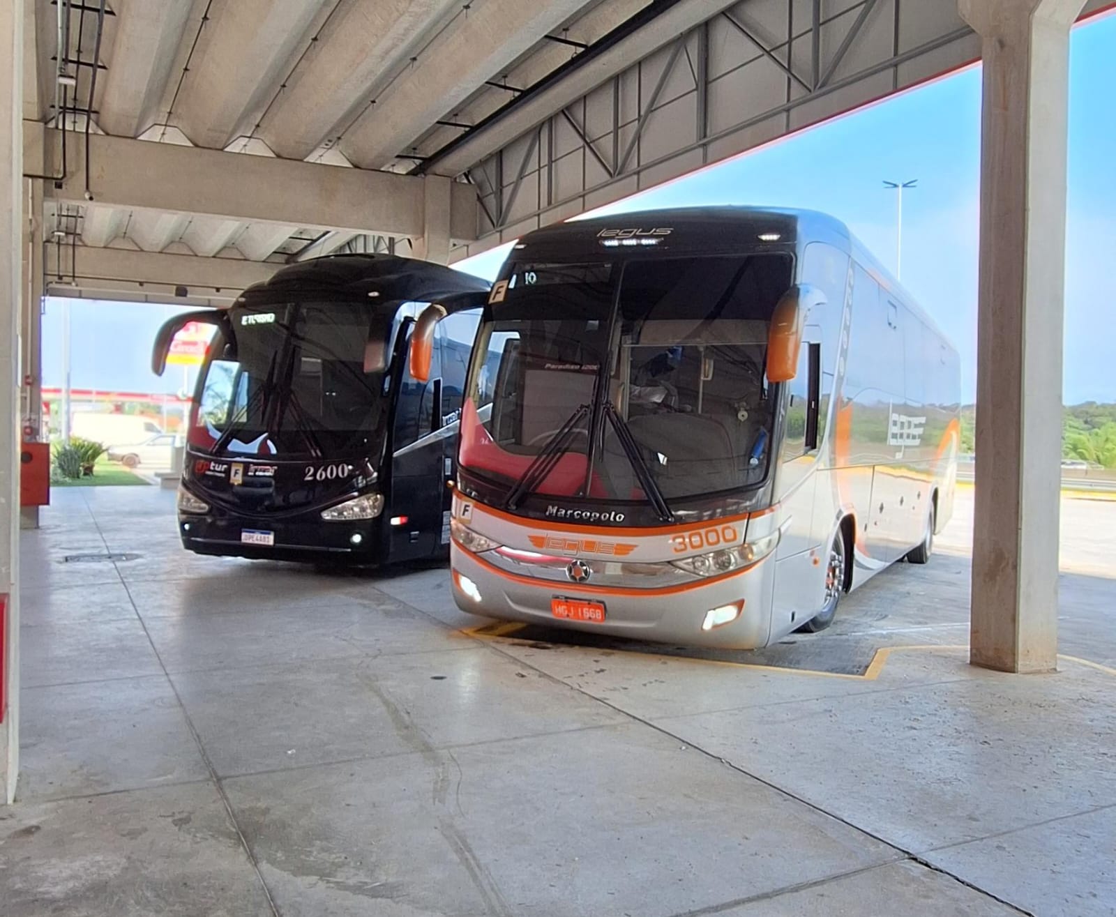Ônibus Executivo Legus